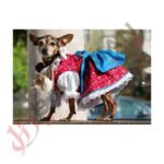 DOG FROCKS BAVARIAN